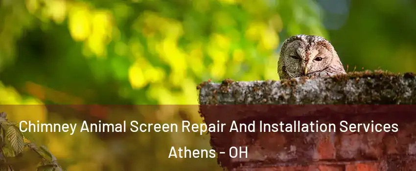  Chimney Animal Screen Repair And Installation Services Athens - OH