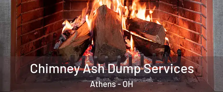  Chimney Ash Dump Services Athens - OH