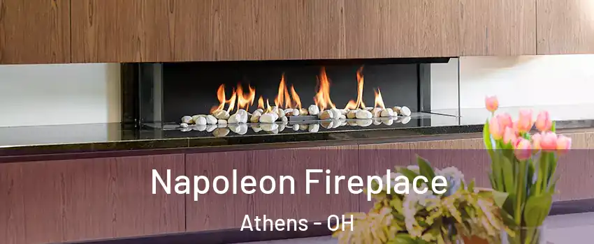  Napoleon Fireplace Athens - OH